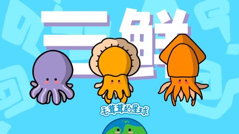 看动画 分辨魷魚 中卷 花枝和小墨鱼 哔哩哔哩 Bilibili