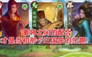 Télécharger la video: 【新三国杀】群内比赛精选！素将之间的配合才更具备观赏性！逐渐明白了现在的玩家缺失的东西！