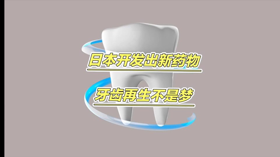 突破认知!日本科学家发明神奇“牙齿再生”技术哔哩哔哩bilibili