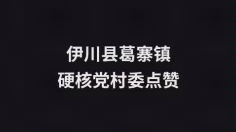 河南省伊川县村长训话惊了哔哩哔哩bilibili