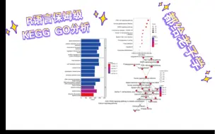 Download Video: R语言保姆级课程/保姆级KEGG和GO分析