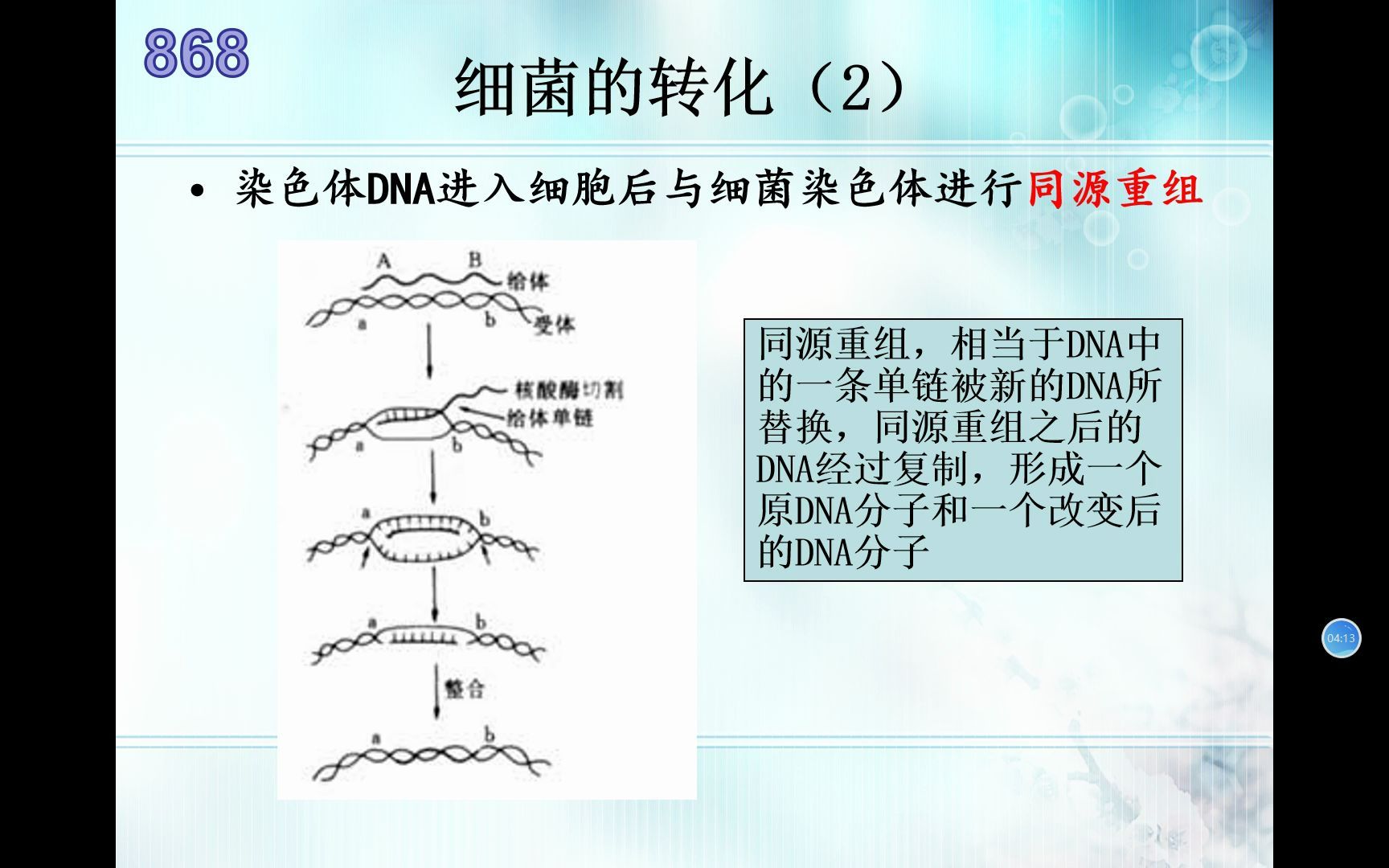 生物竞赛难点35遗传学细菌的转化哔哩哔哩bilibili