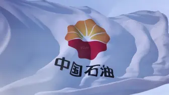 2022年中国500强企业前TOP100