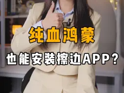 Download Video: 纯血鸿蒙也能安装擦边APP？