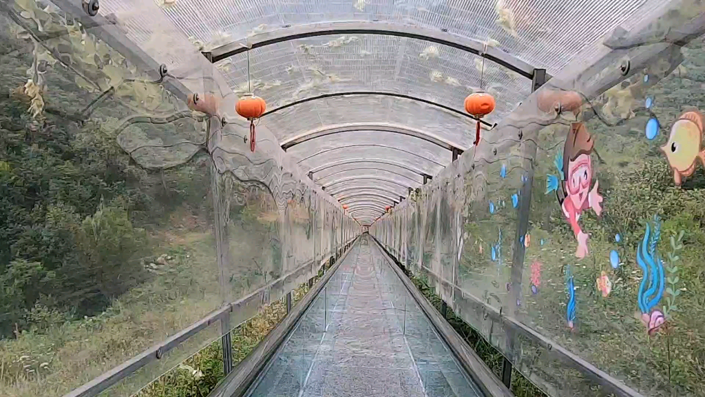 最长滑道,最高滑道!龙门山风景