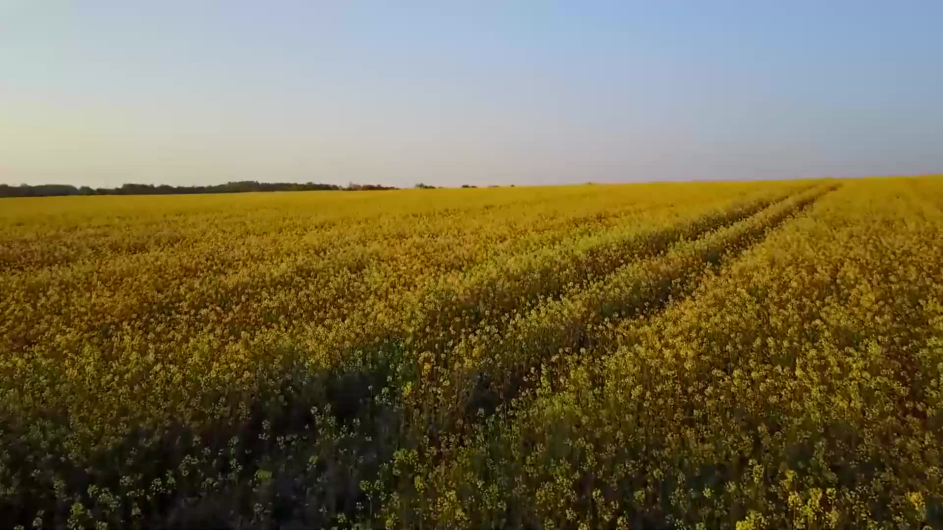 [图]交出我心 《警花出更》主题曲》+《城市足印 《流氓大亨》主题曲