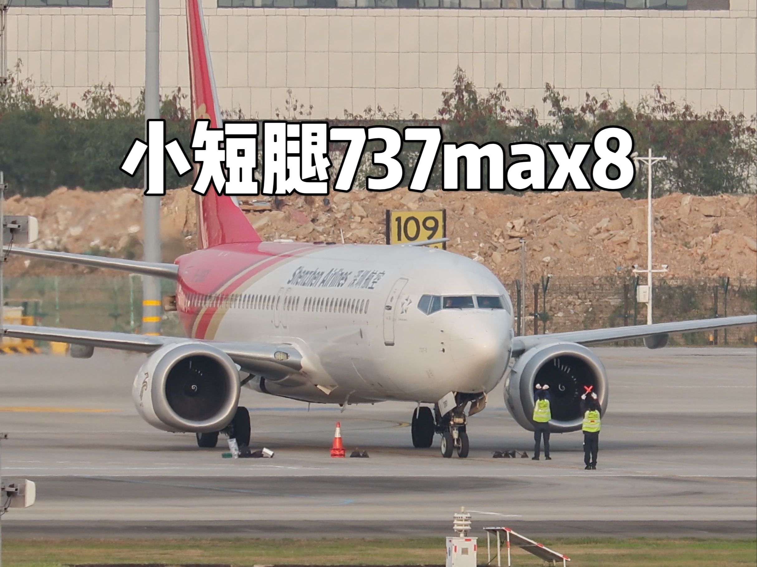 737小短腿:下班了 给大家表演一个点头吧