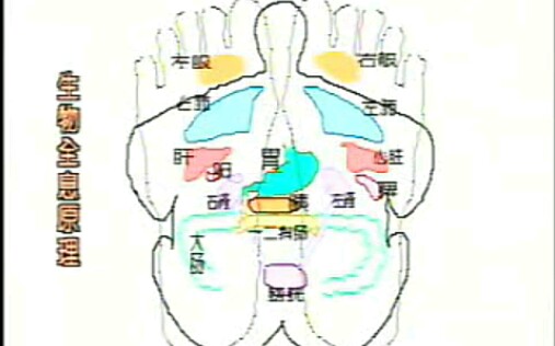 [图]【我在B站学足疗】01 教你足底按摩手法