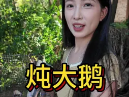 Download Video: 感觉这样的铁锅炖大鹅更香？