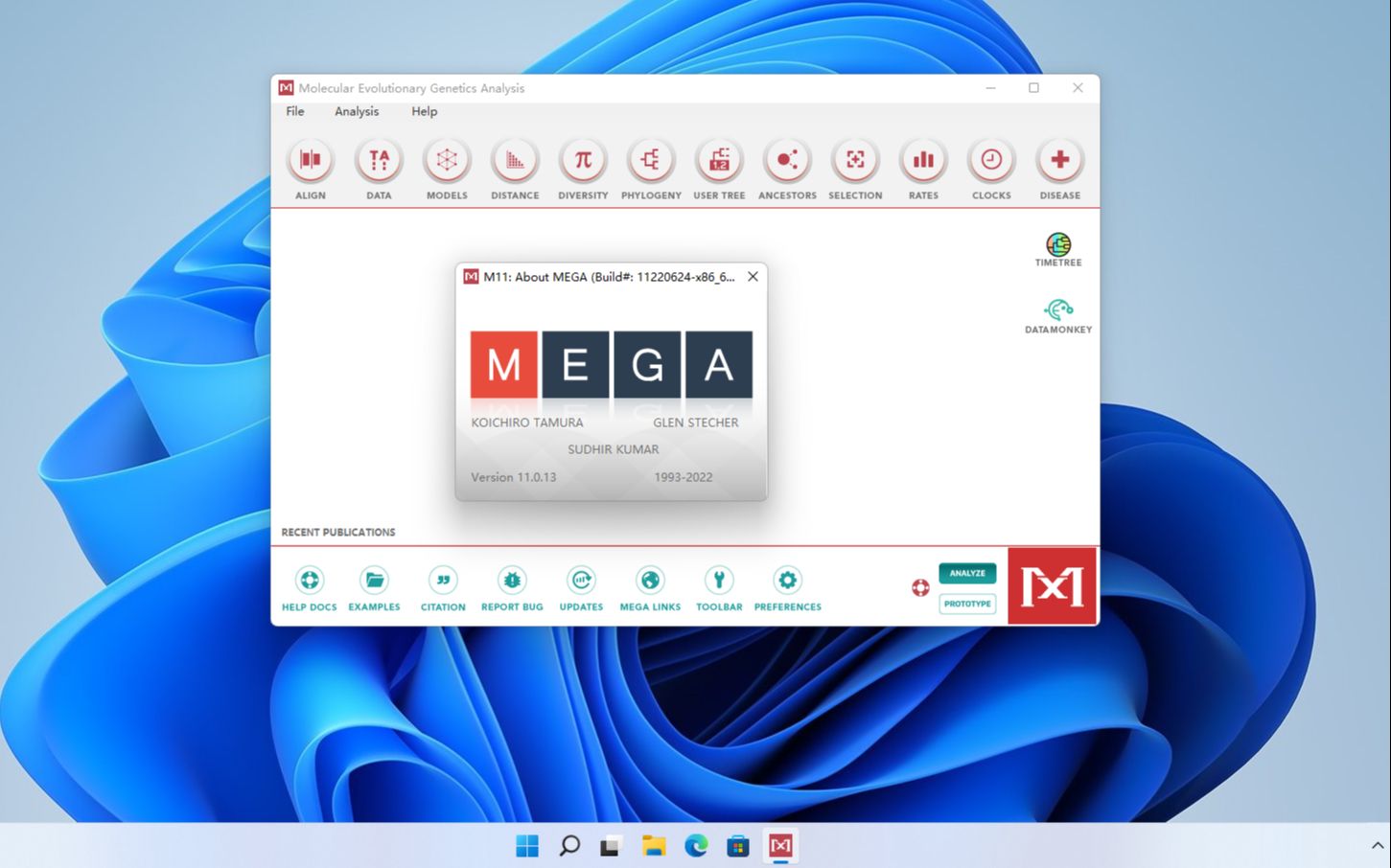 MEGA 11 Win 最新版 分子遗传分析软件 下载安装教程 小白安装无忧 到手即用 支持Win 7 10 11哔哩哔哩bilibili