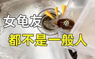 别眨眼，来感受一下养龟佬的节奏