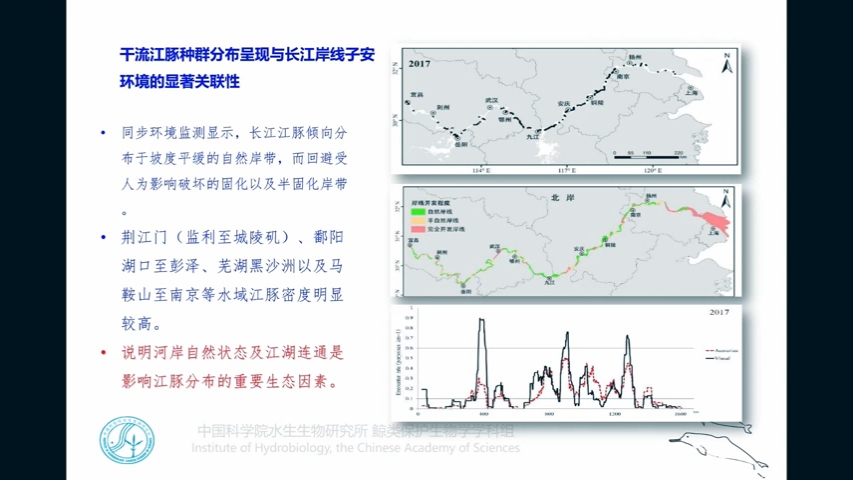 [图]长江大保护---爱江豚