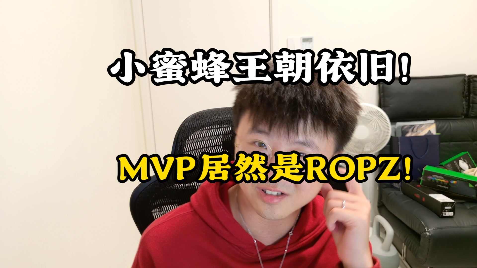 【莱蹭蹭】小蜜蜂王朝依旧，MVP居然是ROPZ！？-莱昂凯shyeark-莱昂凯shyeark-哔哩哔哩视频