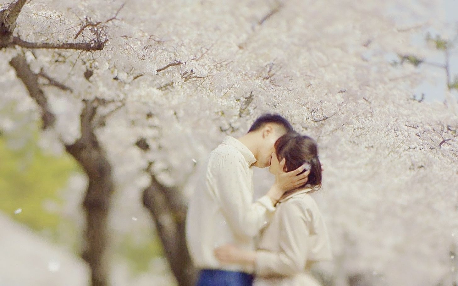 33部中日韩泰电视剧超唯美吻戏混剪花前月下最适合谈恋爱了