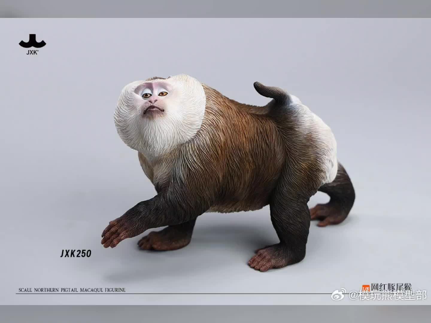 【jxk 16 网红豚尾猴 静态 动物 摆件 手办】