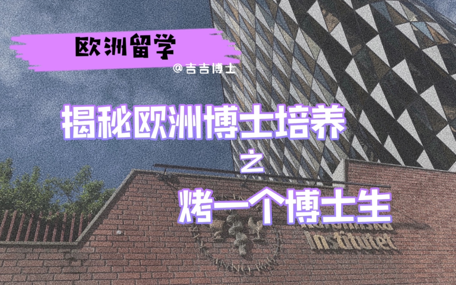 震惊!在瑞典留学,博士生竟然要被放在火上烤?欧洲博士培养体系哔哩哔哩bilibili