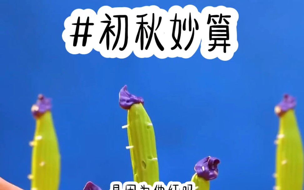 #初秋妙算#今日头条极速版小说推荐哔哩哔哩bilibili