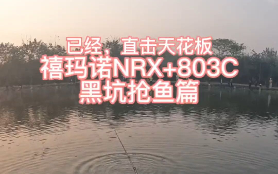 禧玛诺NRX+,最热门的型号803C,一竿难求,是饥饿营销?还是真的优秀到供不应求?管他的,先来一支练下手,才不负我装备党之名哔哩哔哩bilibili