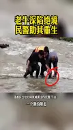 Descargar video: 丽水一老牛深陷大坝危机，幸好路过的民警出手了！