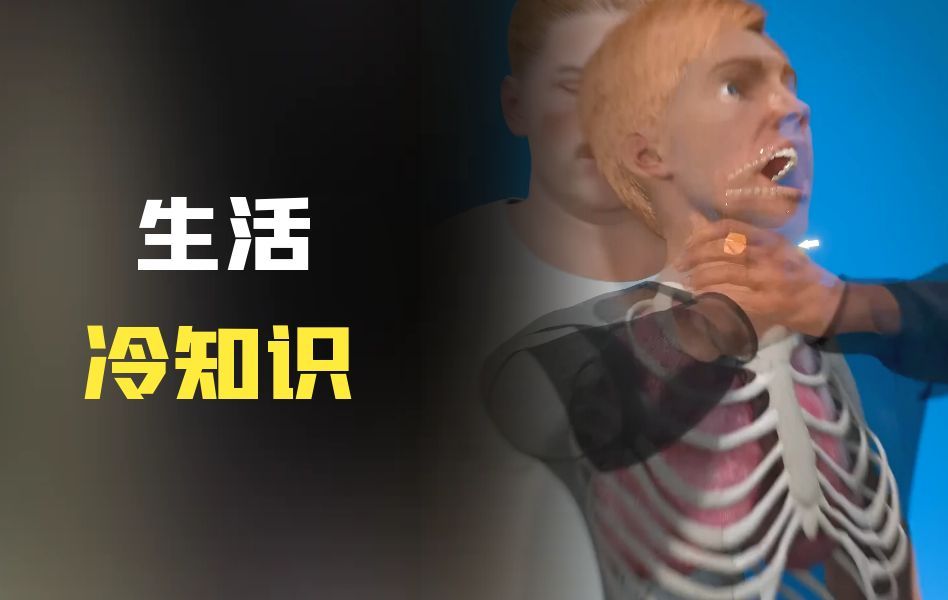 生活冷知识:手机电池爆炸的威力有多大?为啥没人敢吃熊肉?哔哩哔哩bilibili