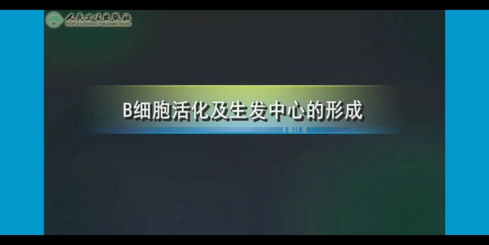 【医学免疫学】B细胞活化及生发中心的形成哔哩哔哩bilibili