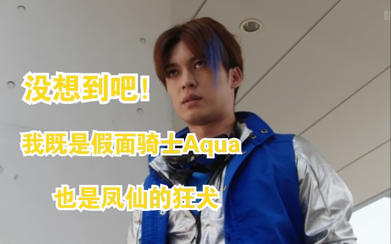 [图]【梦 幻 联 动】【假面骑士×热街混剪】我既是假面骑士Aqua，也是凤仙的狂犬