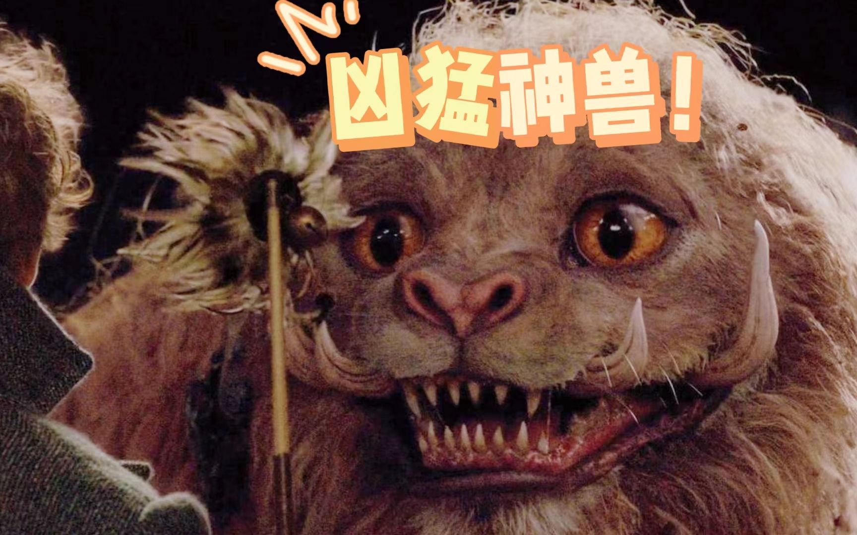 神奇动物驺吾我是凶猛神兽看见逗猫棒时除外