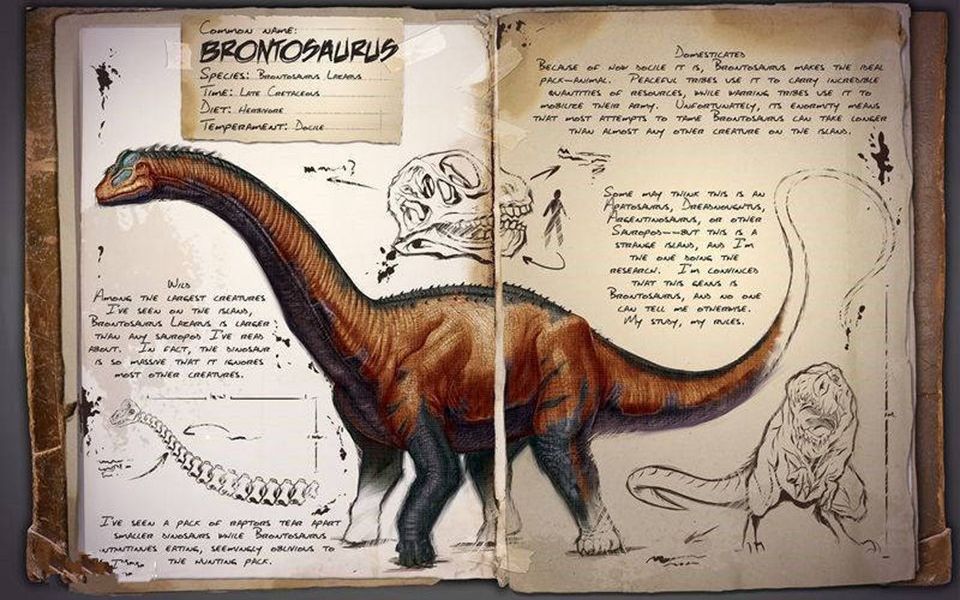 《小青年驯龙记》13——雷龙"沼泽地的征服者"