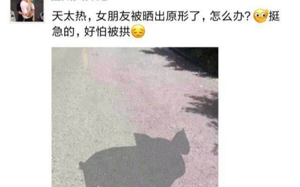 那些网络上的吊图合集(32)哔哩哔哩bilibili