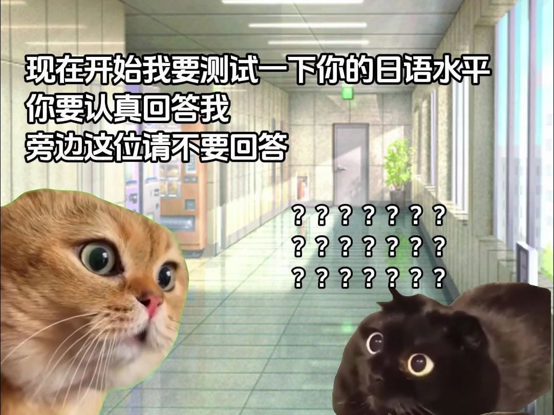 【猫meme】可怜的日留子被银行玩弄于鼓掌哔哩哔哩bilibili