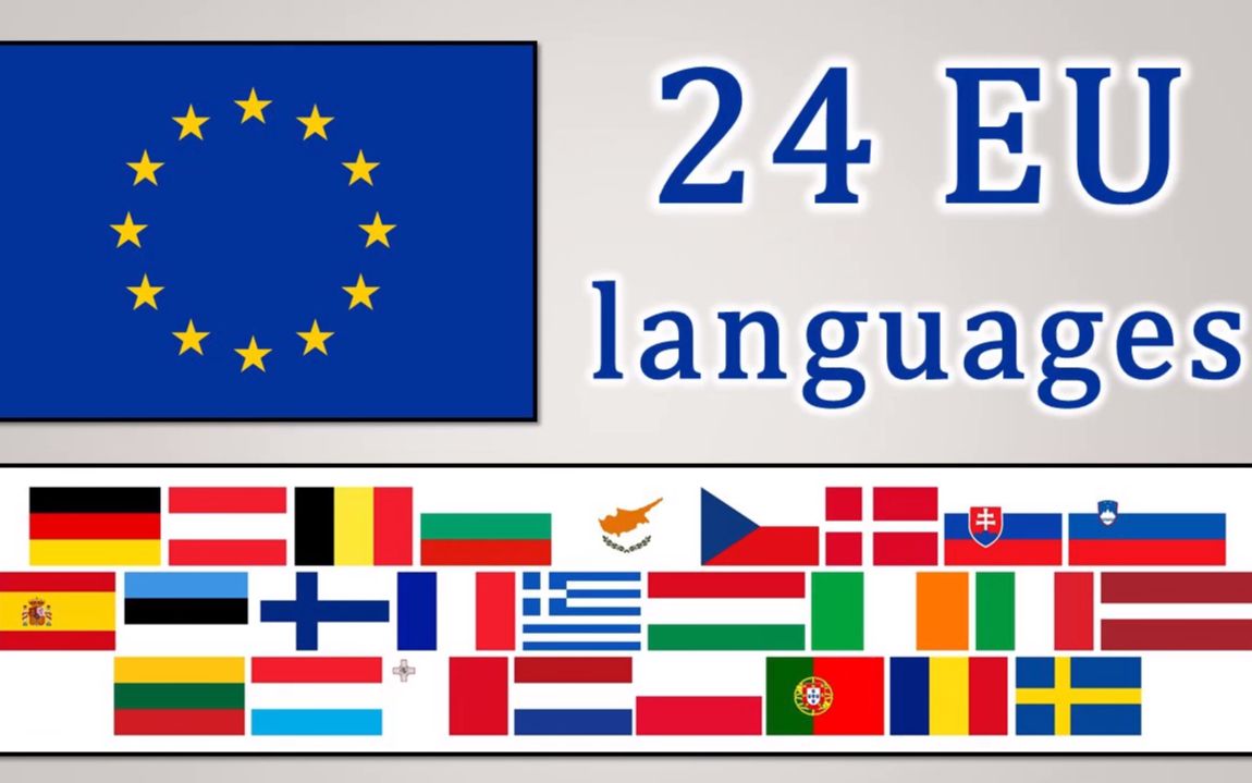 欧盟24种官方语言之世界人权宣言哔哩哔哩bilibili
