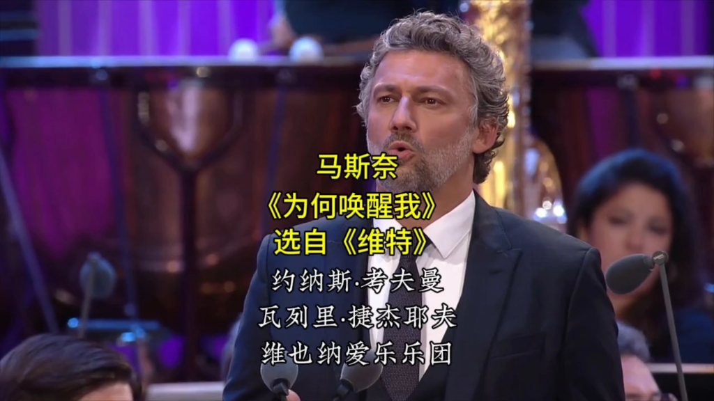 马斯奈《为何唤醒我》选自《维特》