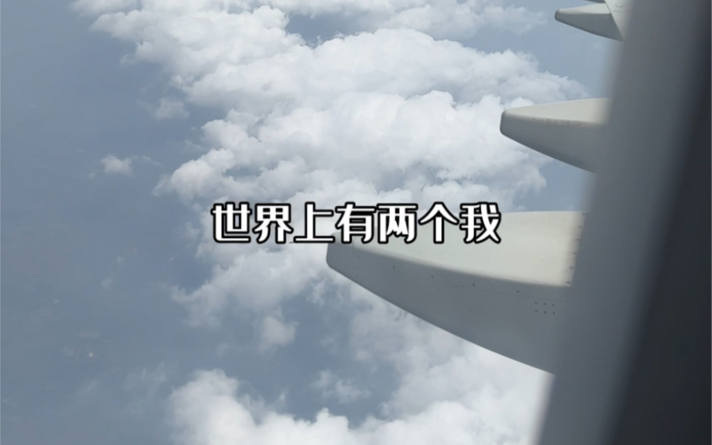 如果用“世界上有两个我”来造句