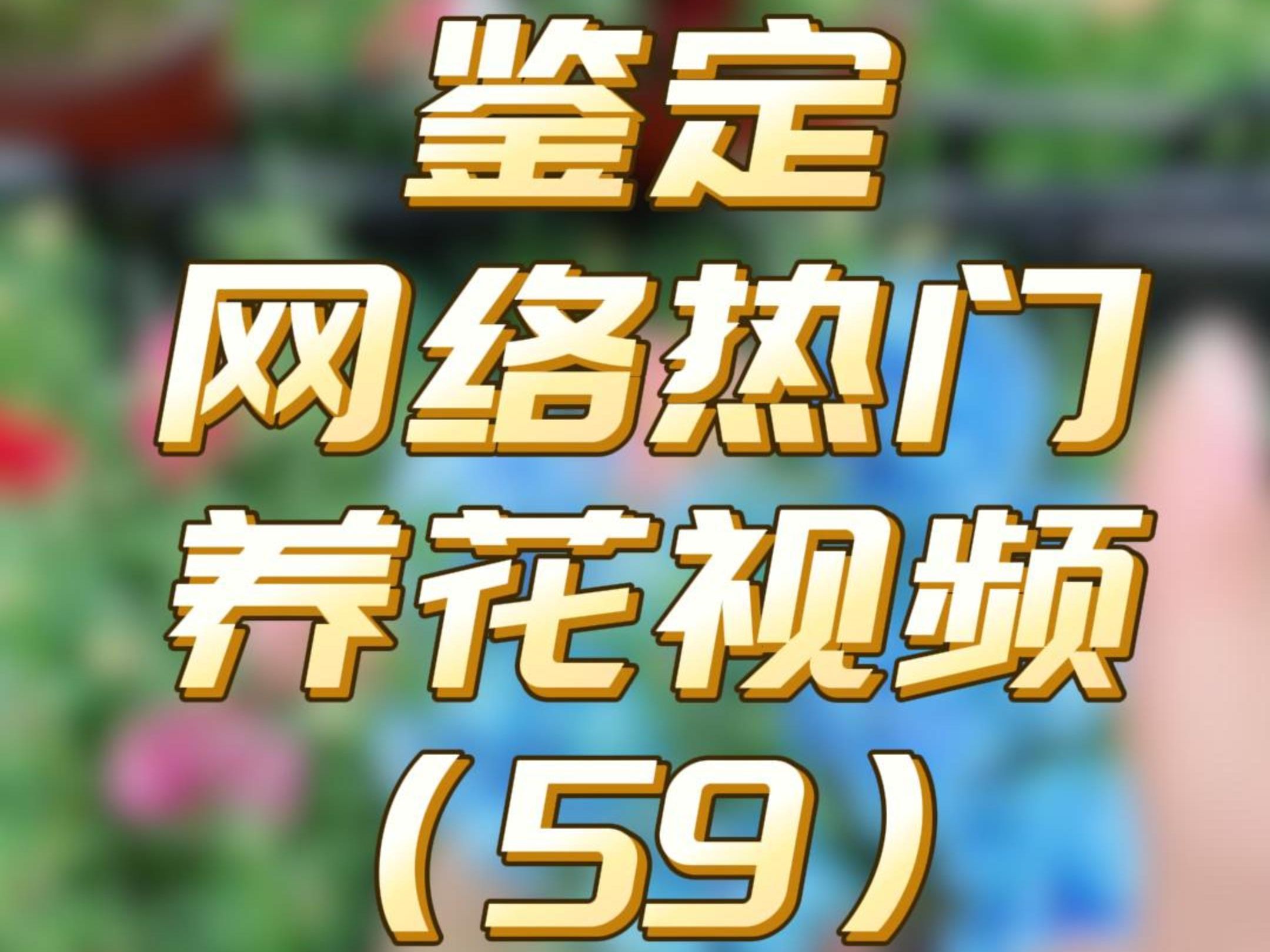 鉴定网络热门养花视频59哔哩哔哩bilibili