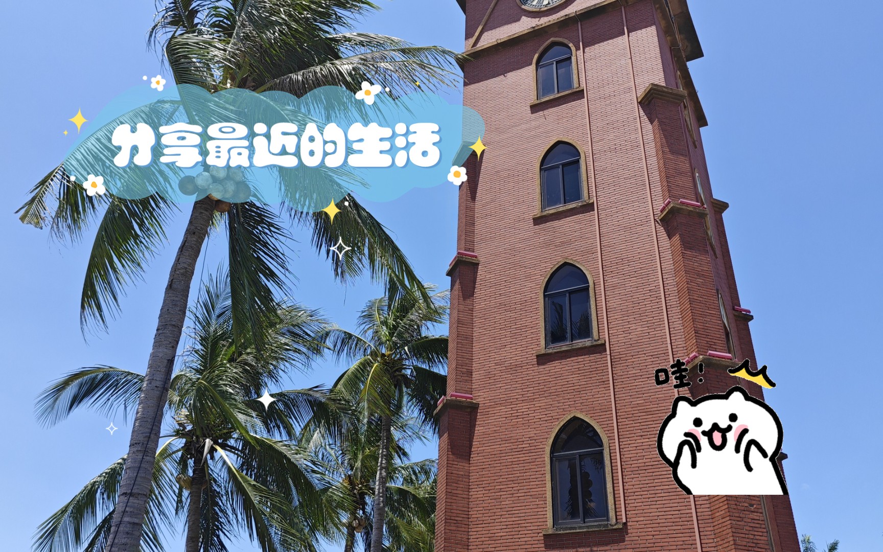 分享最近的生活