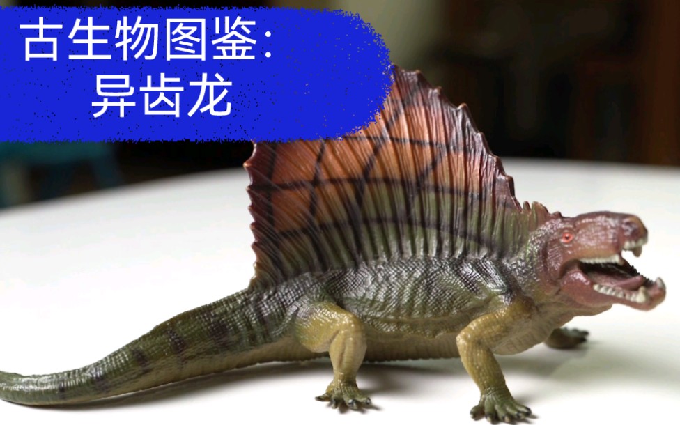 [图]古生物图鉴—异齿龙