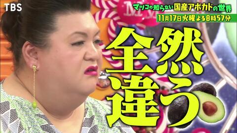 マツコの知らない世界 11 10 火 花いけをして学校生活が180度激変 花いけ男子の華麗な技とは Tbs 哔哩哔哩 Bilibili