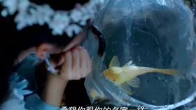 女子救下条小鱼 不料小鱼化成人与她谈恋爱 中集 海大鱼 哔哩哔哩 つロ干杯 Bilibili