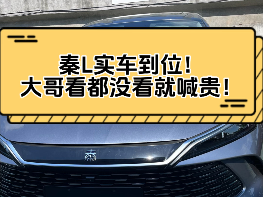 秦L实车到位!宝贝们可以行动起来了!哔哩哔哩bilibili