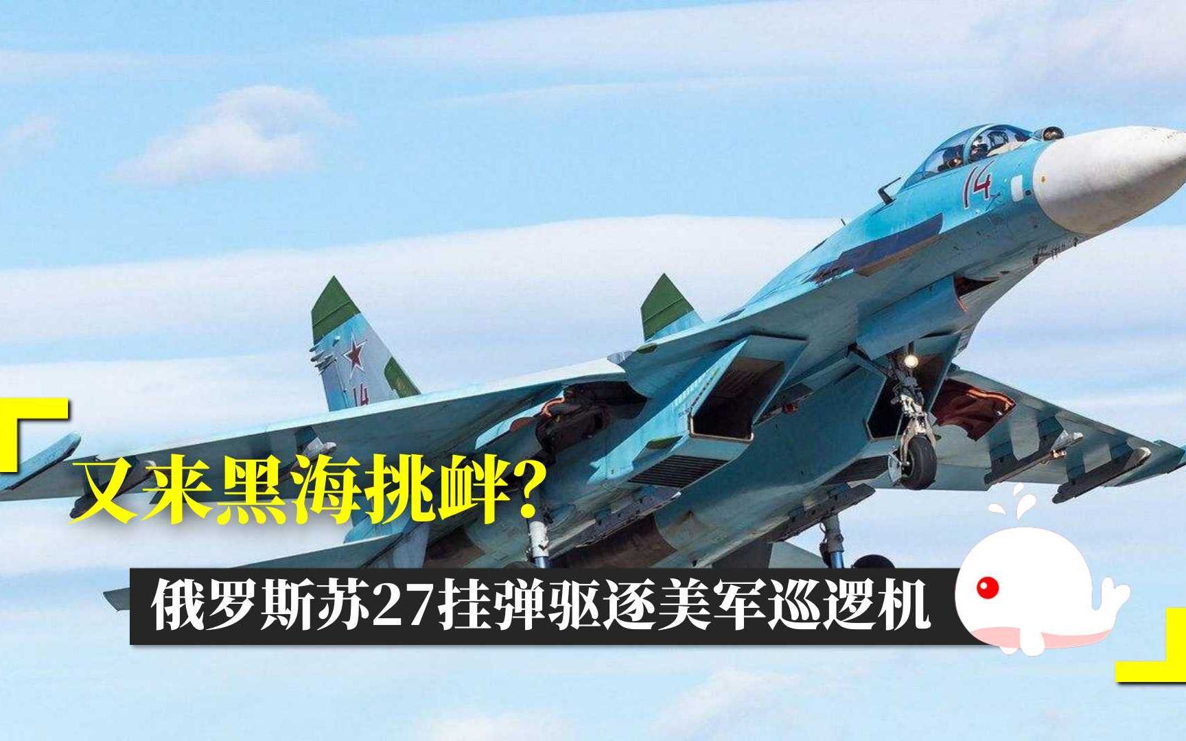俄罗斯苏27挂弹驱逐美军巡逻机,五角大楼扬言增兵_哔哩哔哩 (゜-゜)つ