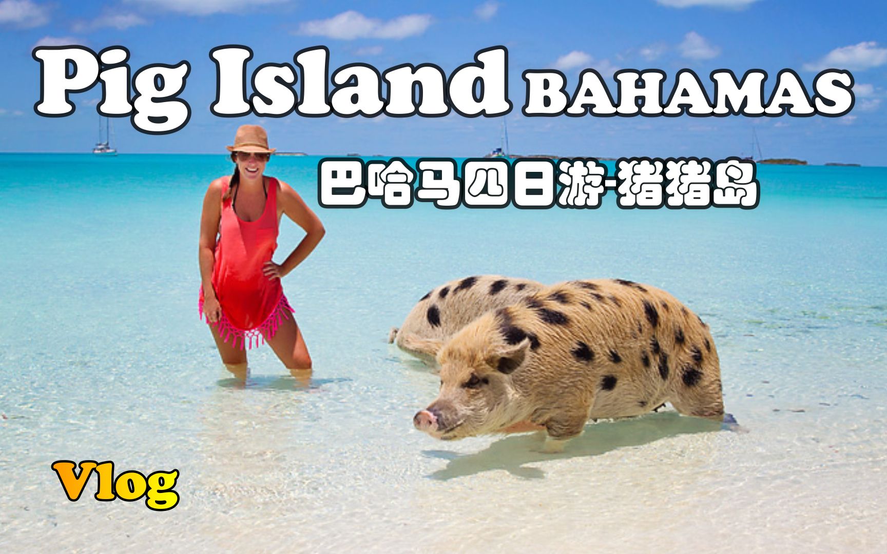 [图]【怡橙出品】Vlog系列之巴哈马群岛之猪猪岛Bahamas Pig Island