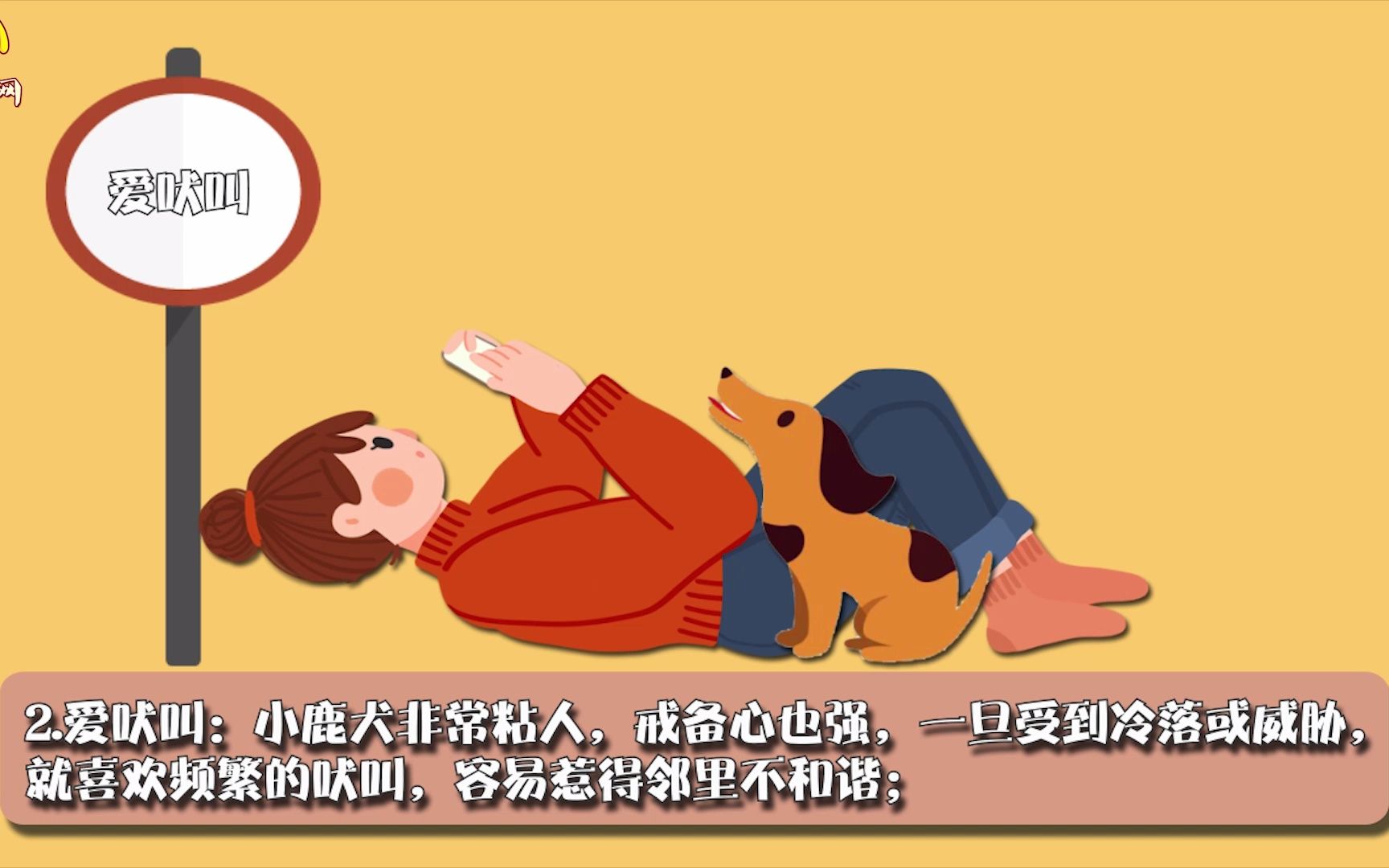 小鹿犬为什么没人养哔哩哔哩bilibili