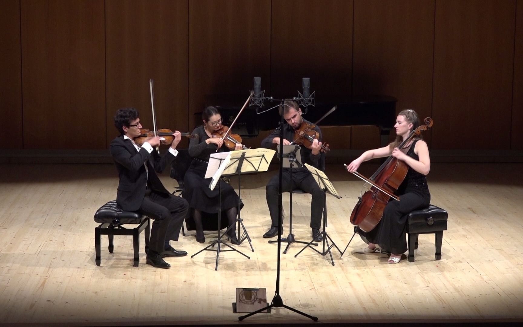 舒伯特d小调第十四死神与少女弦乐四重奏d810