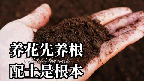 种花再也不用买土买到吃土了 教你如何省钱配土 哔哩哔哩 Bilibili