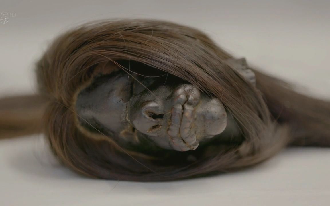 纪录片ch5古代之谜亚马逊缩头术2017高清生肉