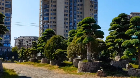 [图]许多事情看起来希望渺茫，但请相信，人生永远是在坚持，成在勤勉。我们所要做的是坚持初心，做好眼下该做的事。相信自己，简单点努力点乐观点豁达点，惊喜就会多一点。