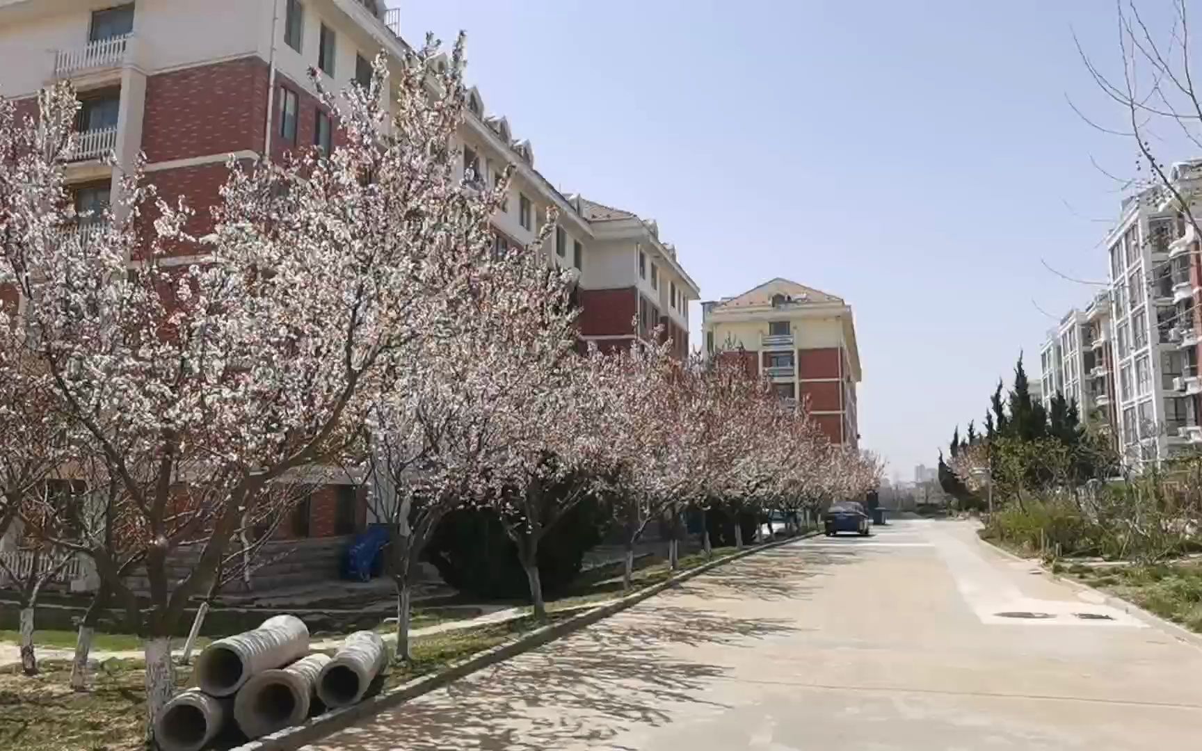 [图]看我银滩的家：龙韵碧海花源小区，送给牵挂的邻居们