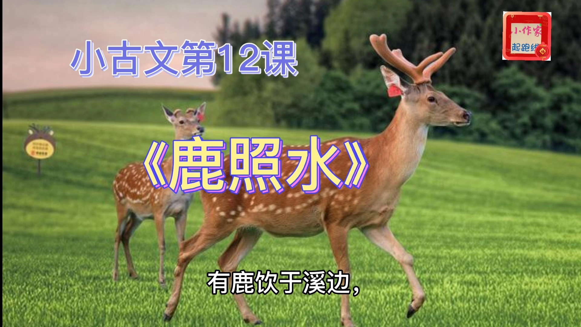 小古文学习第12课:《鹿照水》