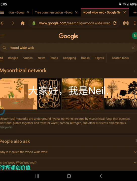 [树木交流]树木使用的网络叫什么?树联网?(Wood wide web/Mycorrhizal network)哔哩哔哩bilibili