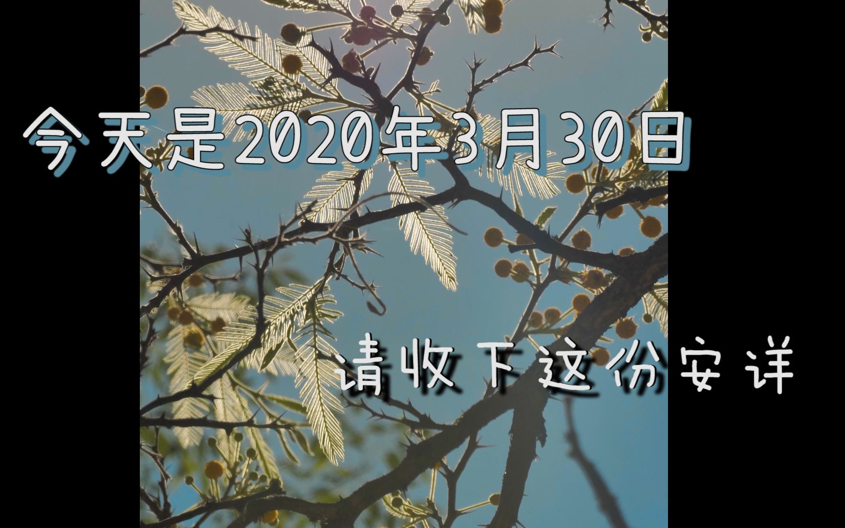 [图]【每日治愈时刻】今天是二零二零年三月三十日，请收下这份安详。